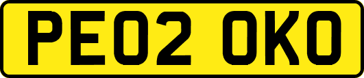 PE02OKO