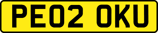 PE02OKU