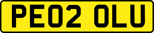 PE02OLU