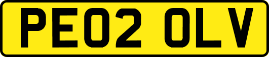 PE02OLV