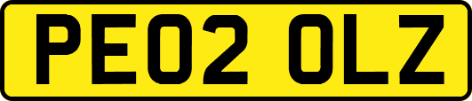 PE02OLZ