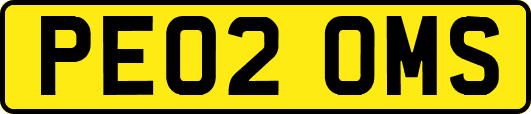 PE02OMS