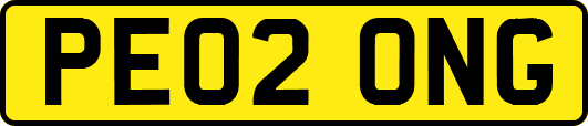 PE02ONG