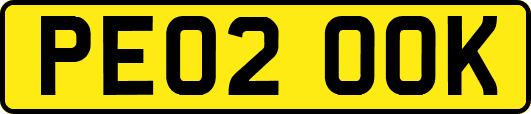 PE02OOK