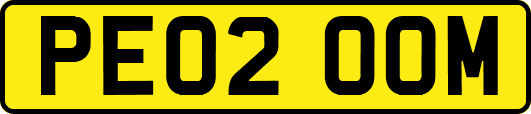 PE02OOM