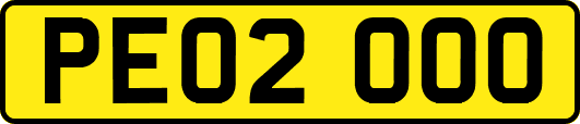 PE02OOO