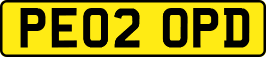 PE02OPD