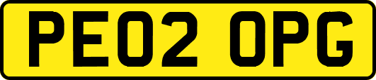 PE02OPG