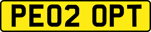 PE02OPT
