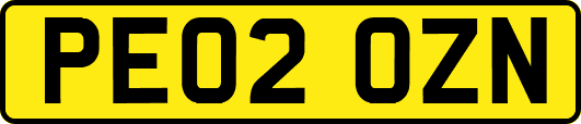 PE02OZN