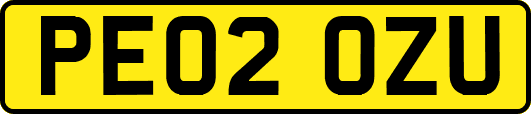 PE02OZU