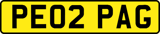 PE02PAG