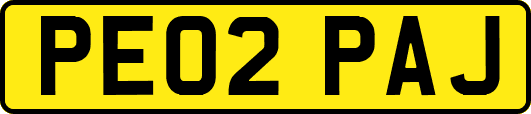 PE02PAJ