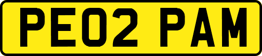 PE02PAM