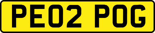 PE02POG