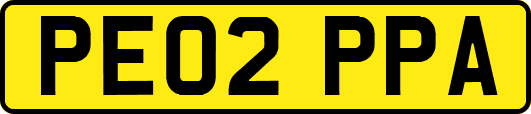 PE02PPA