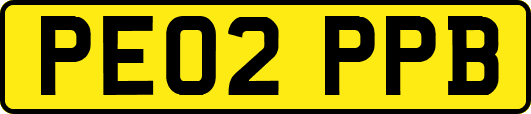 PE02PPB