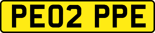 PE02PPE