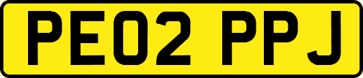 PE02PPJ