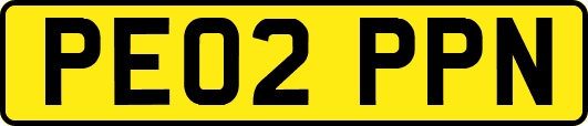 PE02PPN