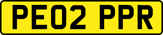 PE02PPR
