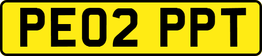 PE02PPT