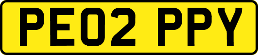 PE02PPY