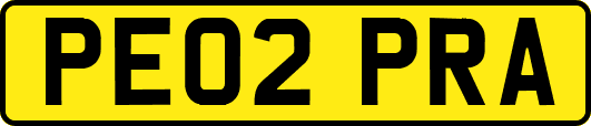 PE02PRA