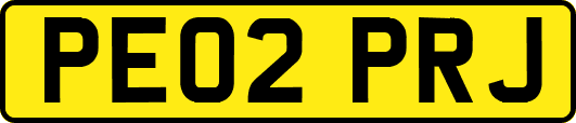 PE02PRJ