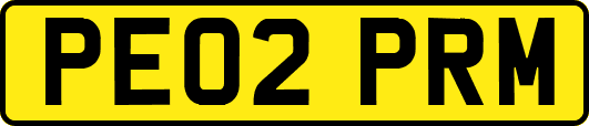 PE02PRM