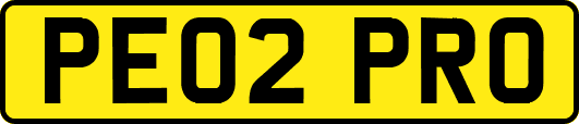 PE02PRO