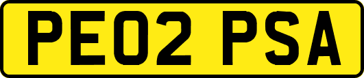 PE02PSA