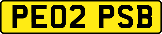 PE02PSB