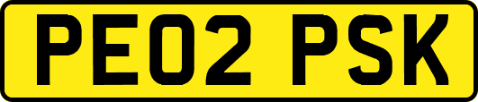 PE02PSK