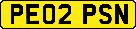 PE02PSN