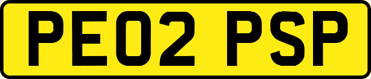 PE02PSP