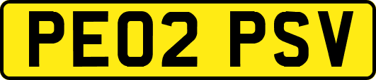 PE02PSV