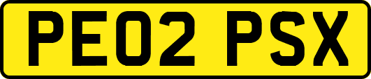 PE02PSX