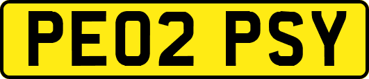 PE02PSY
