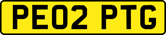 PE02PTG