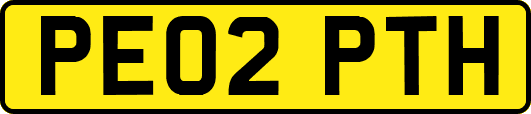 PE02PTH