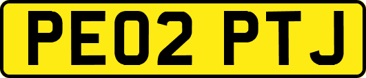 PE02PTJ