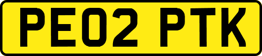 PE02PTK
