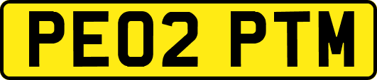 PE02PTM