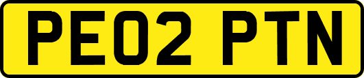 PE02PTN