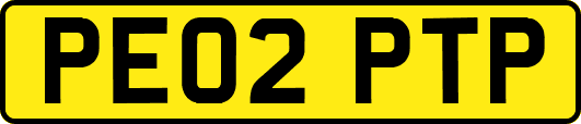 PE02PTP