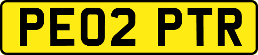 PE02PTR