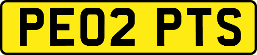 PE02PTS