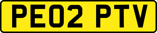 PE02PTV