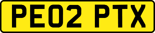 PE02PTX